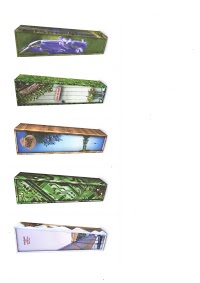 funky coffins 286925 Image 7